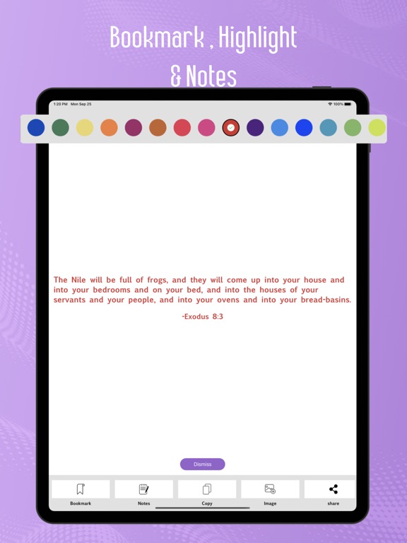 Screenshot #6 pour Simple English Bible (SEB)