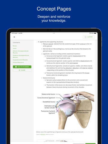 South U PA - Lecturio iPad screenshot