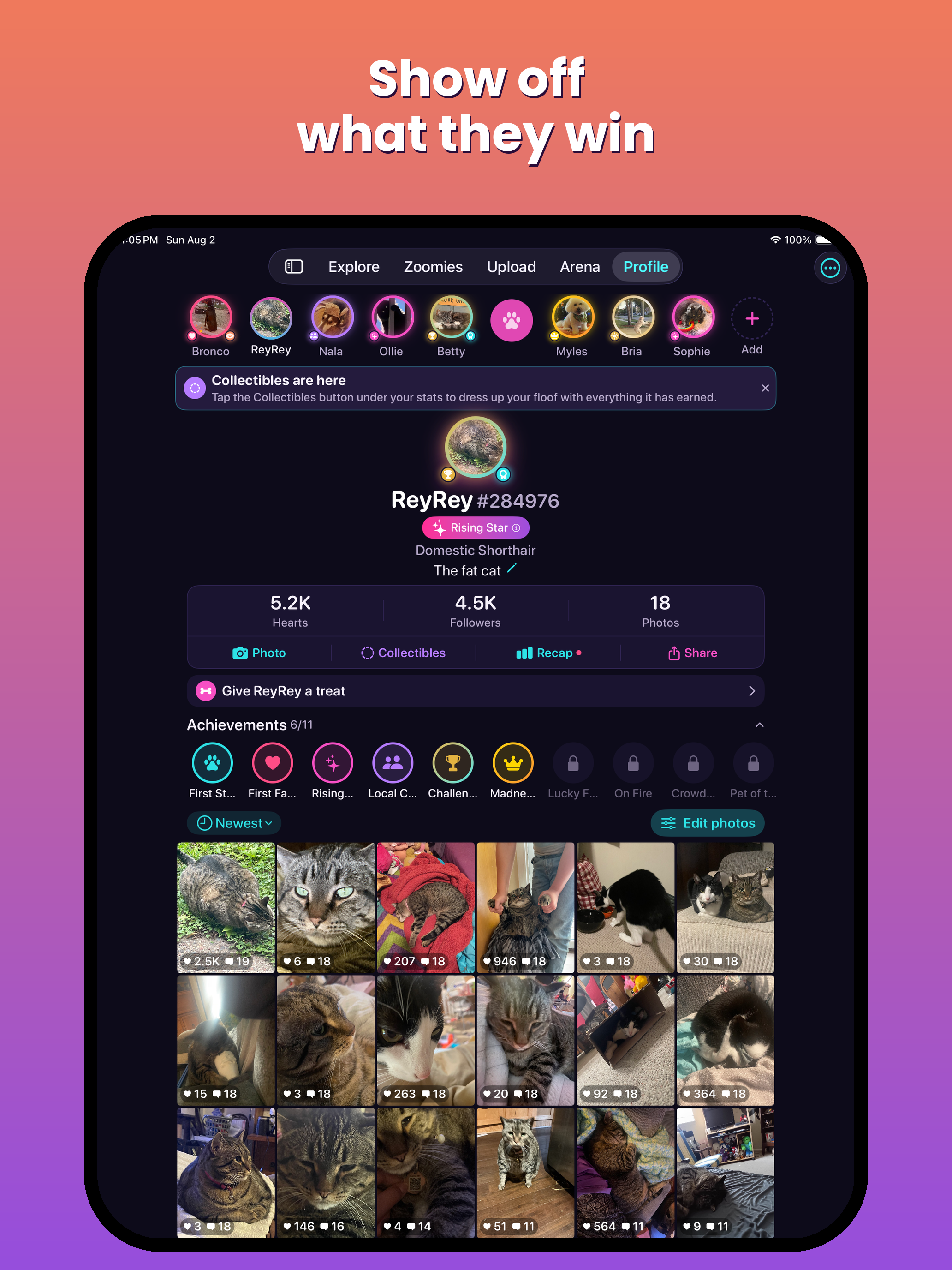 Only Floofs: Make Pets Famous screenshot 15