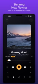 LudyAmp - Offline Music Player screenshot