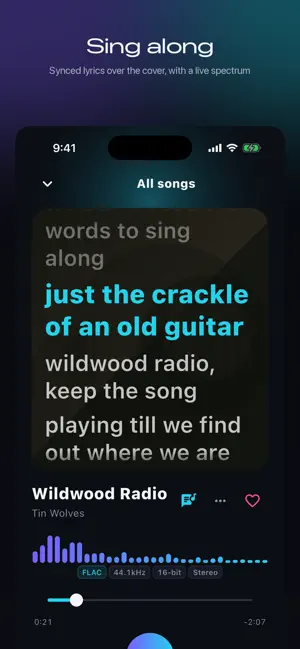 Audova: Offline Music Player screenshot 1