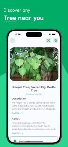 Tree Identifier - TI screenshot