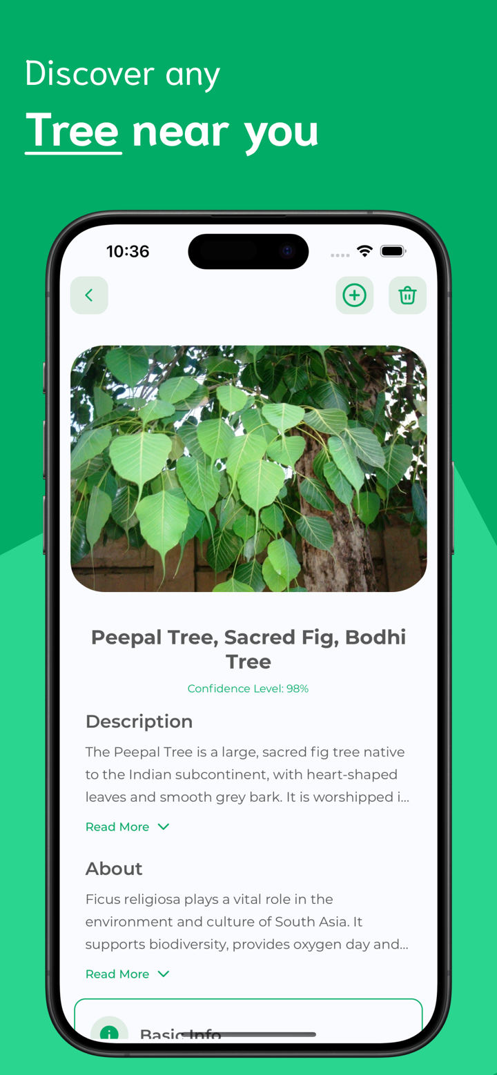 Tree Identifier - TI screenshot 3