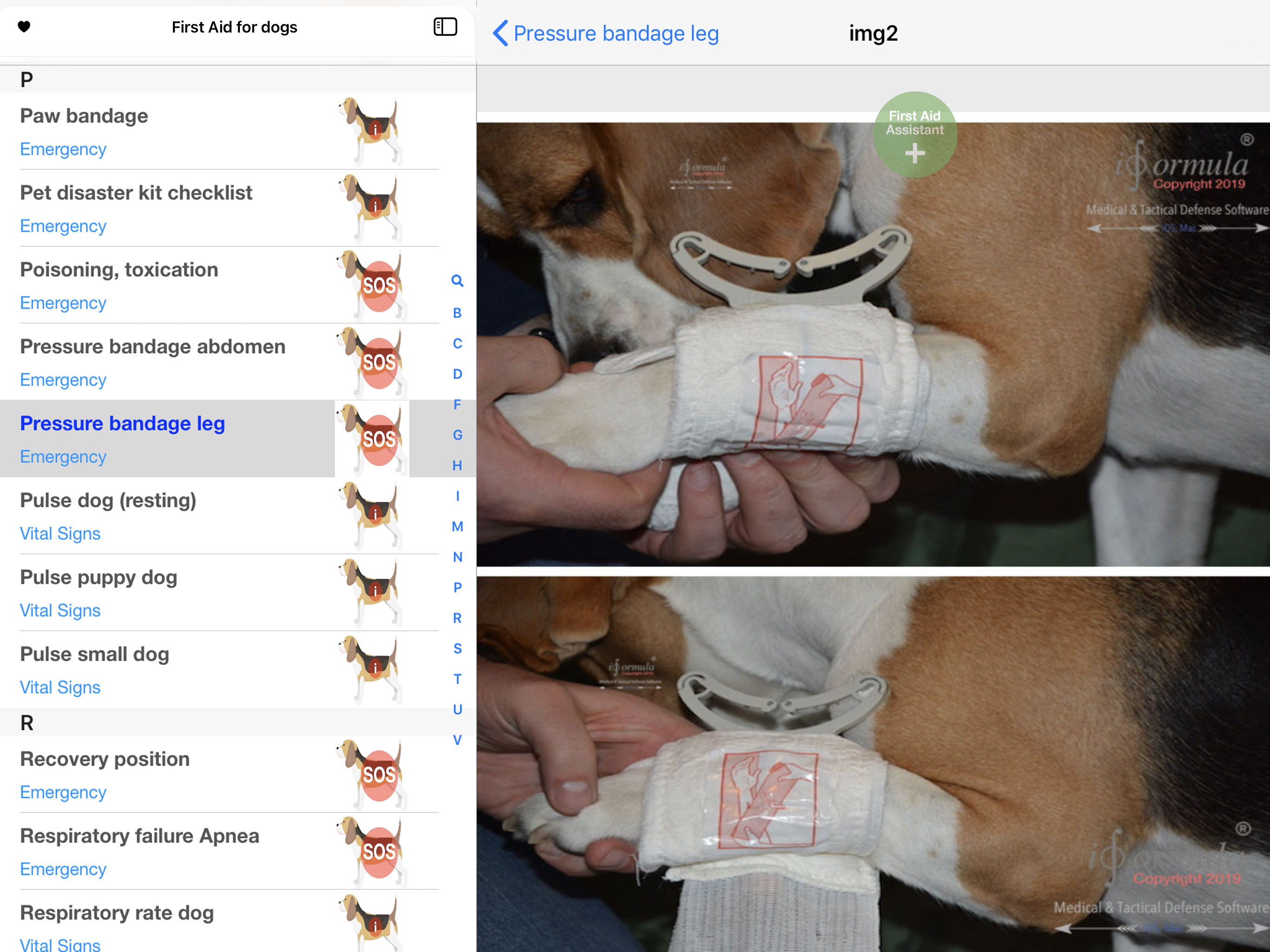 first aid for dogs PRO
