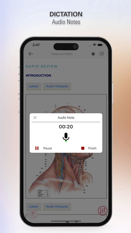 Rapid Review Anatomy Guide screenshot-9