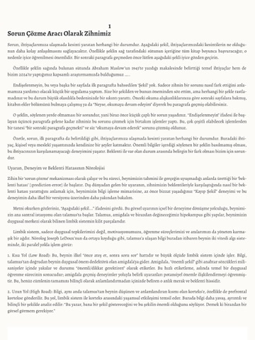 Psikonet iPad screenshot 2