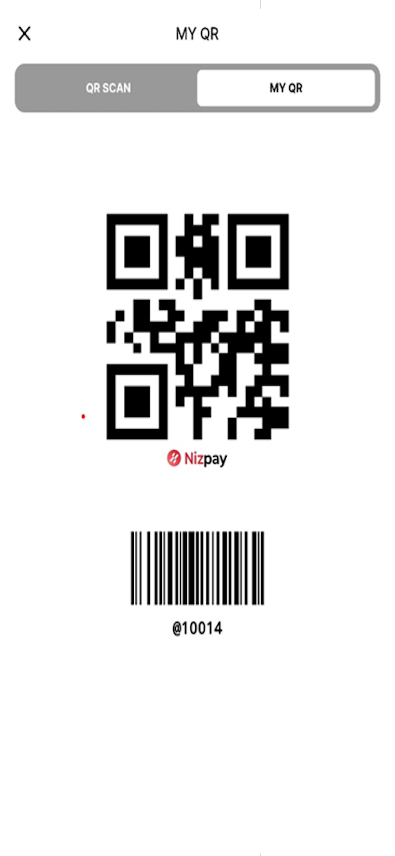 Nizpay