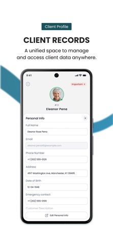 Ambel Pro screenshot