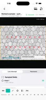 Graincount: Microstructure screenshot 2