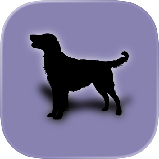 Dog's Family