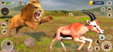 Lion Hunting Simulator Game - Experience the thrill of the hunt as the lion chases a fleeing gazelle across a wide-open savanna with scattered rocks.