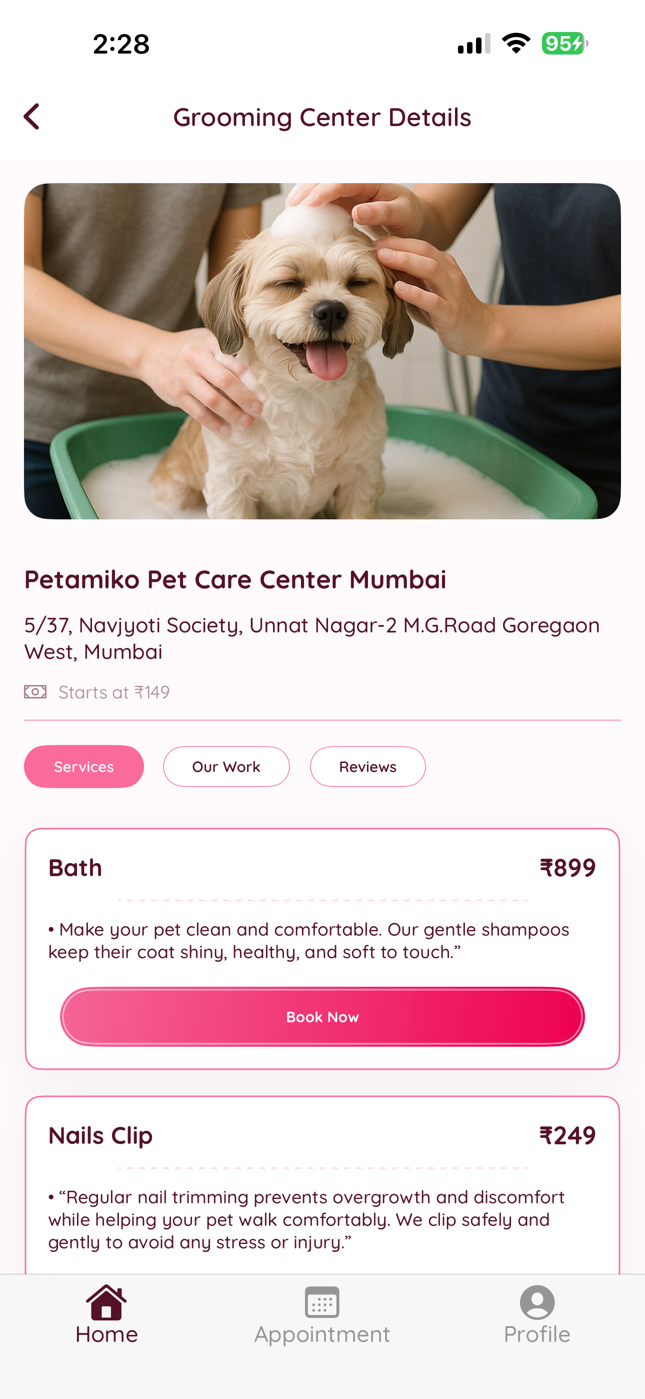 Petamiko screenshot 3