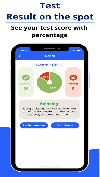 Michigan SOS Permit Test Screenshot