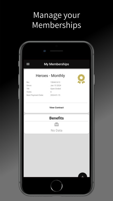 The Iron Office Screenshot