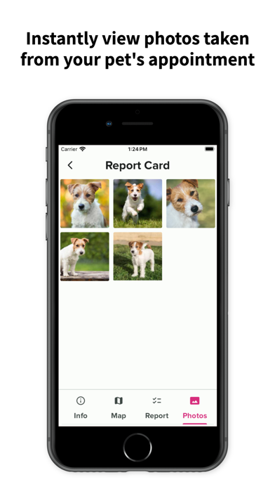bwd Petcare Screenshot