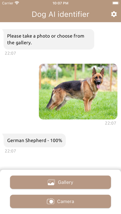 Dog AI identifier Screenshot
