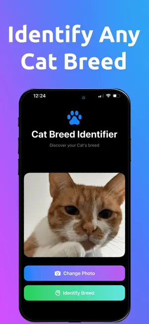 Cat Breed Identifier AI Scan screenshot 3