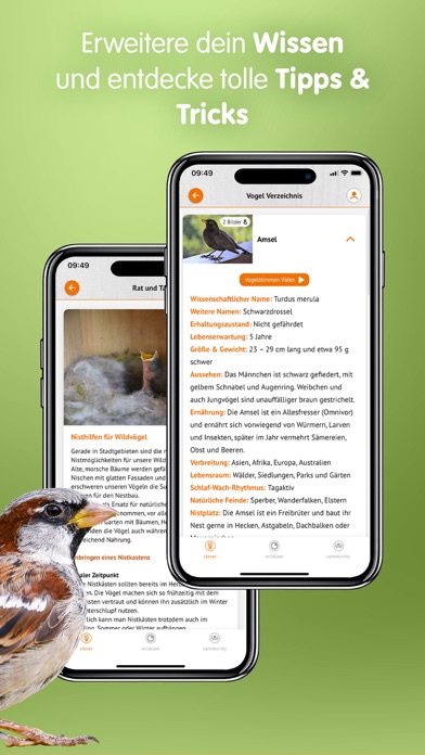 dobar wildlife Screenshot