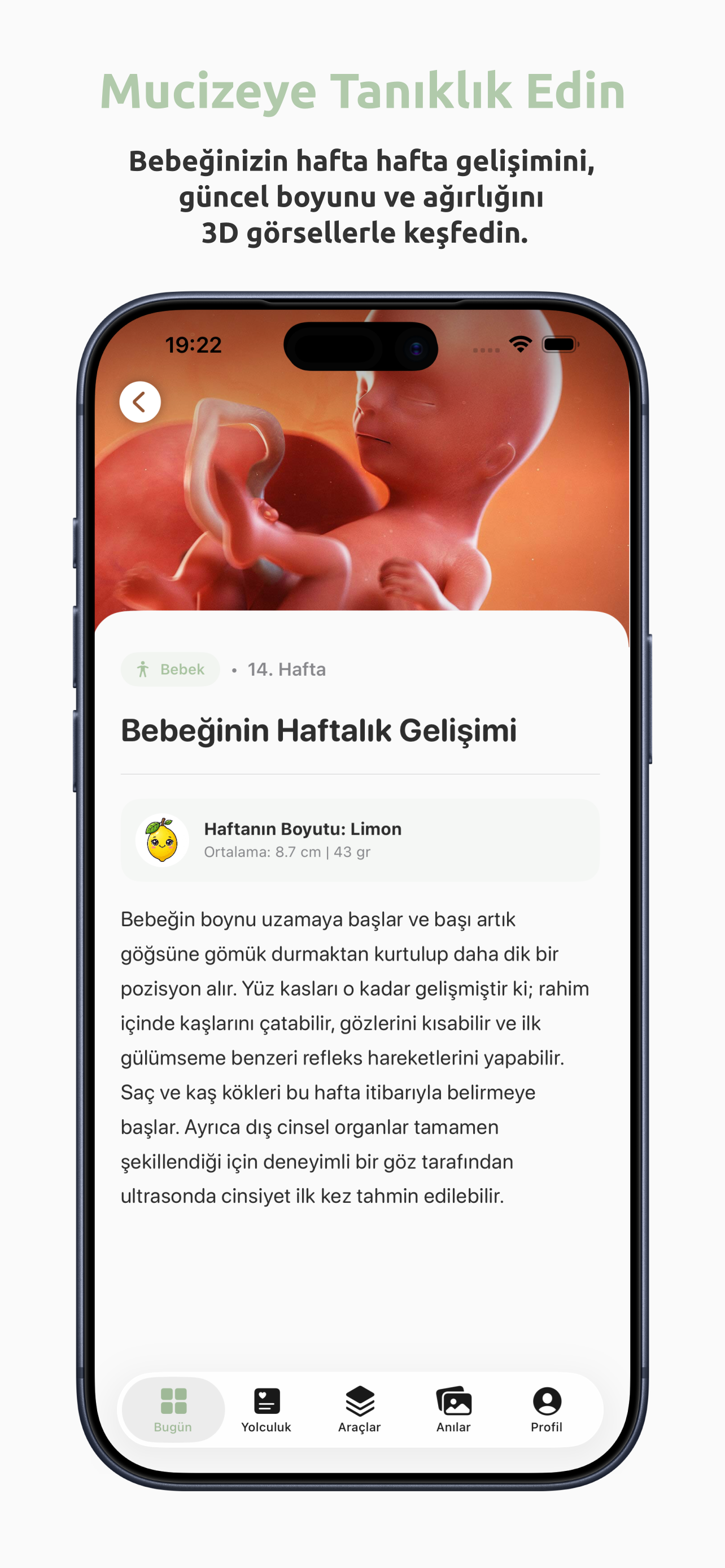 Pregnine - Hamilelik Takibi screenshot 3