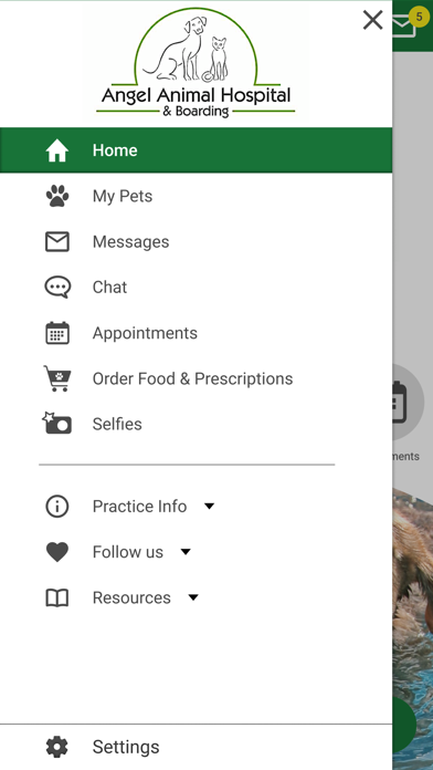 Angel Animal Vet Screenshot