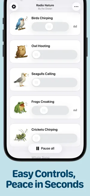 Relaxing Sounds - Radio Nature screenshot 3