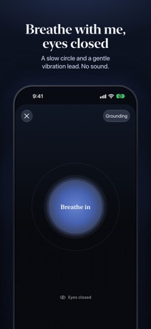 Happy Landing: Fear of Flying screenshot 8