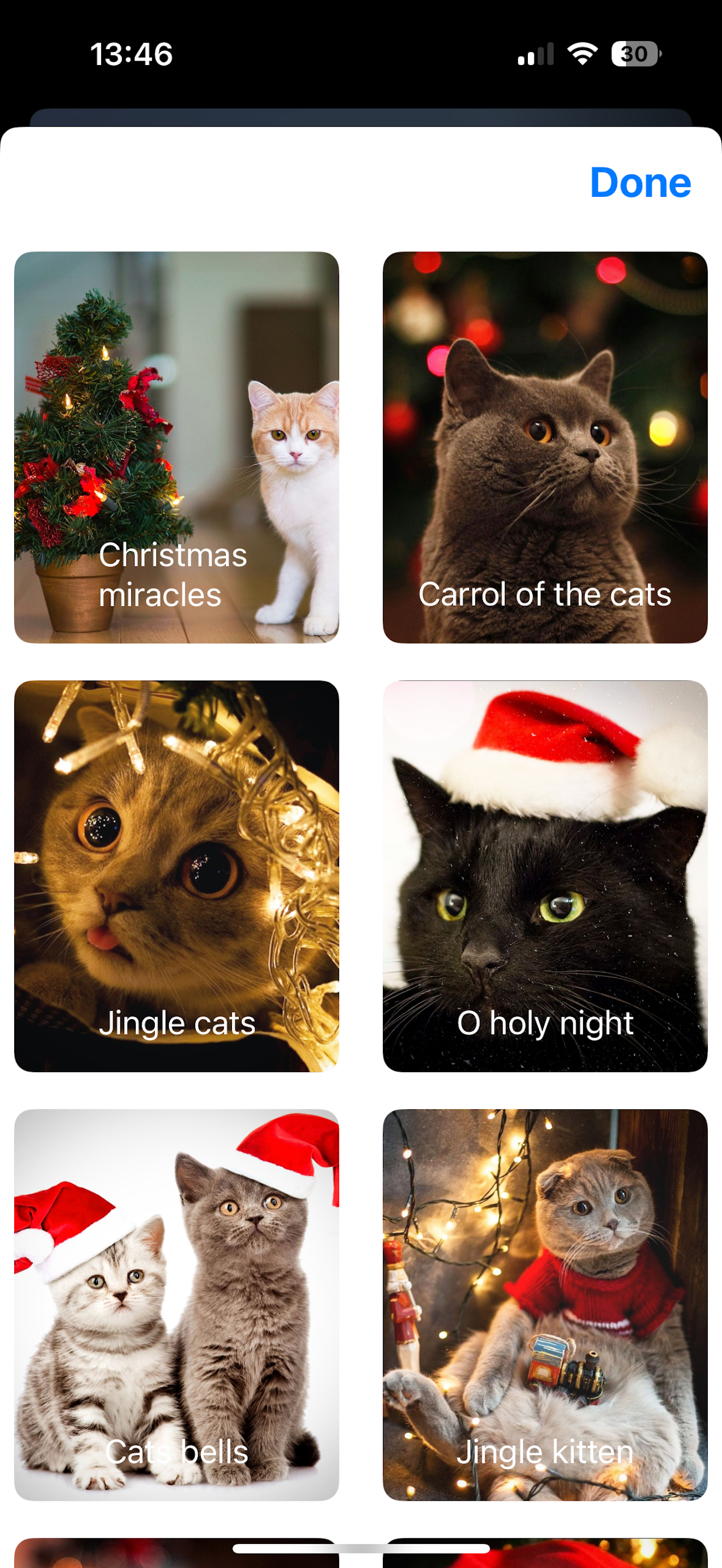 Cute Cats Wallpapers 4k screenshot 7