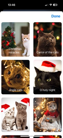 Cute Cats Wallpapers 4k screenshot