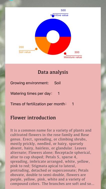 KitschFlower