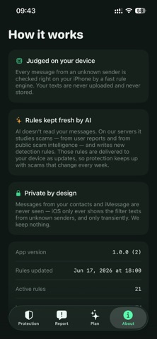SmsLLM - LLM SMS Blocker Screenshot 4 of 4