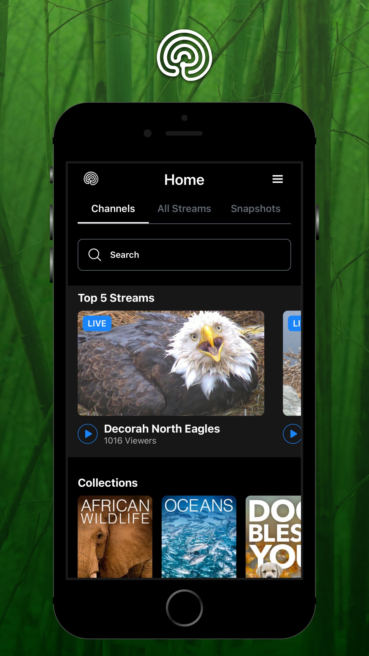 explore.org screenshot 1