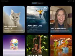 Apple Vision Pro screenshot 4