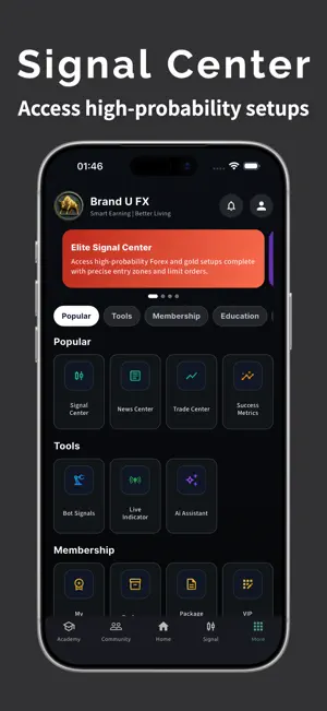 Brand U FX screenshot 2
