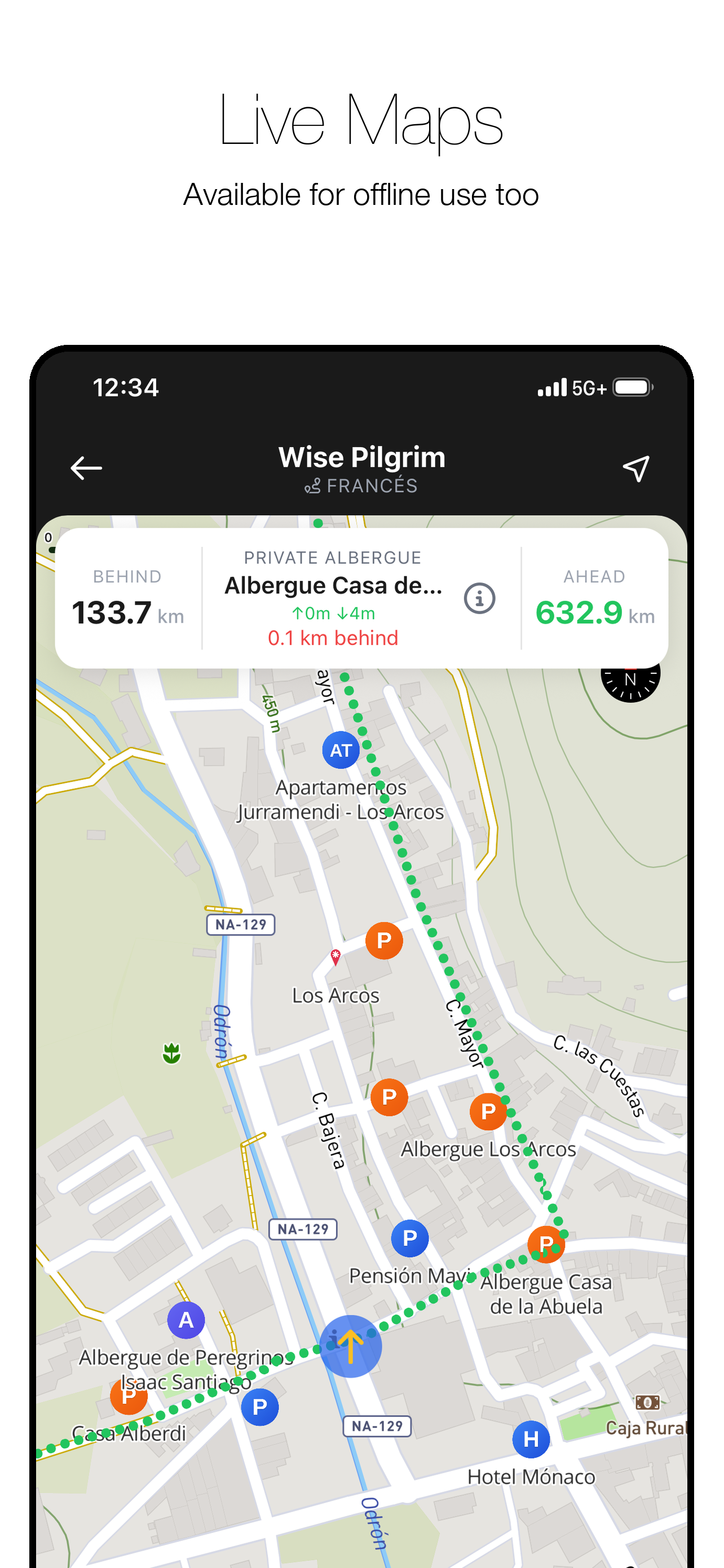 Wise Pilgrim All Caminos