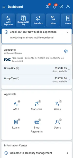 CommerceOne Treasury Mgmt screenshot 1