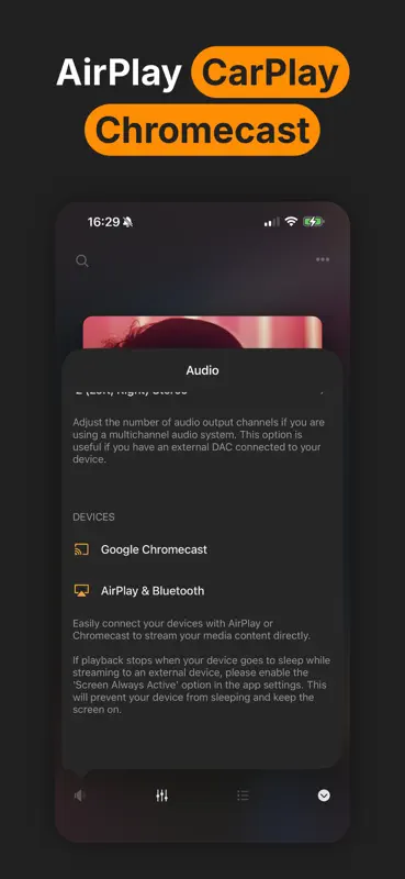 Flacbox: Hi-Res Music Player screenshot 10 of 10