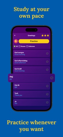 Learn Swedish (Beginners) Screenshot 3 of 7