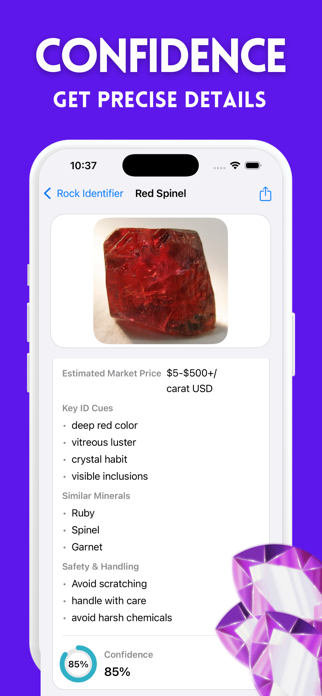 Rock Identifier : Stone Buddy Screenshot 4 of 4