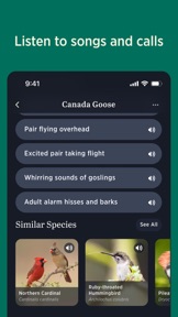 Audubon Bird Guide screenshot