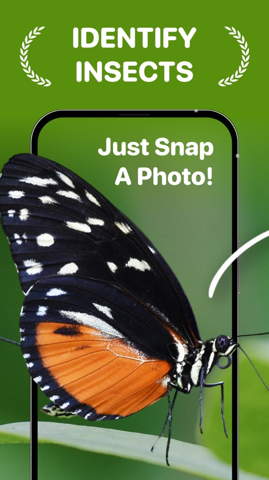 #1. Bugs id - Insect identifier ai (iOS) 由: Klimin Marketing SpA