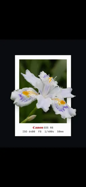 iOutBox-AutoStereo 3D Pics screenshot 4