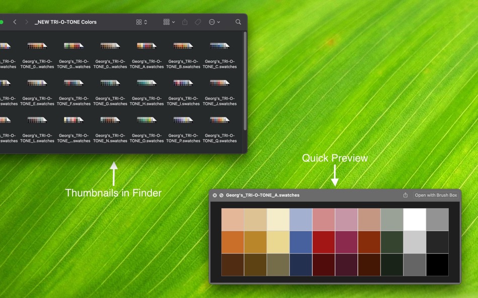 #3. Brush Box (macOS) 由: 菁晶 王