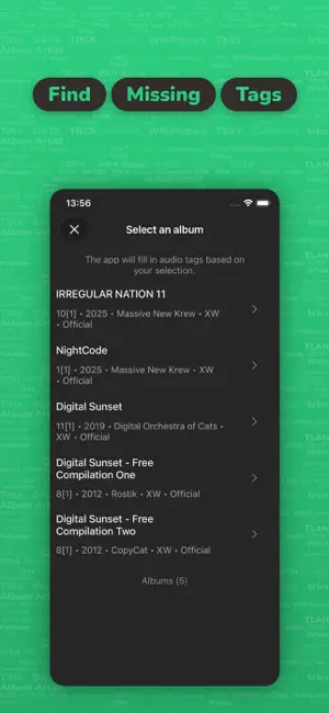 Evertag: Music Tag Editor iPhone screenshot 4