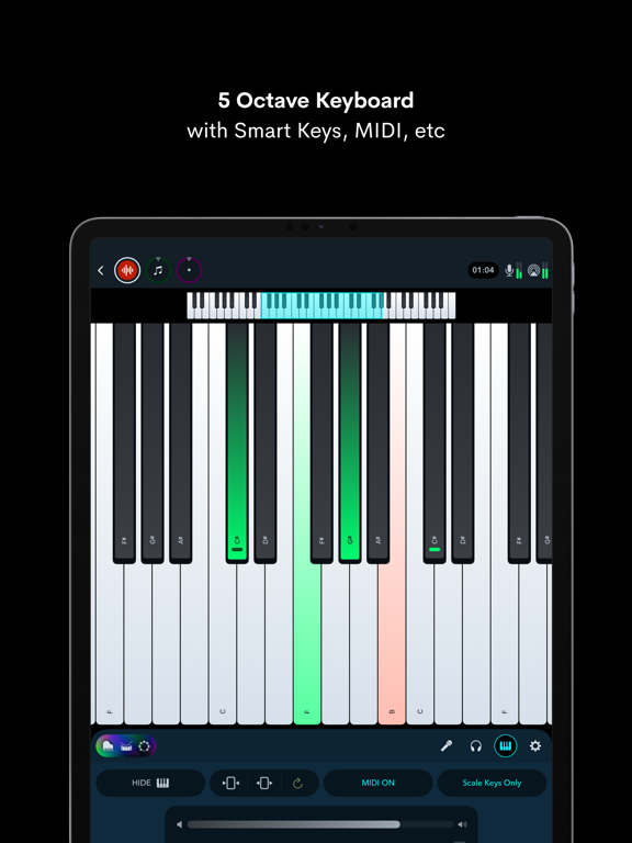 NaadSadhana | Sing Play Record iPad screenshot 5 - Music app