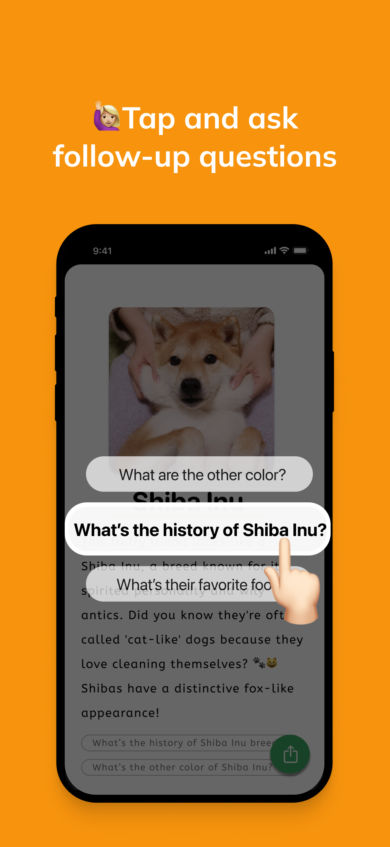TriviaCam - Travel Companion screenshot 3