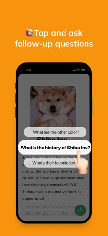 TriviaCam - Travel Companion screenshot