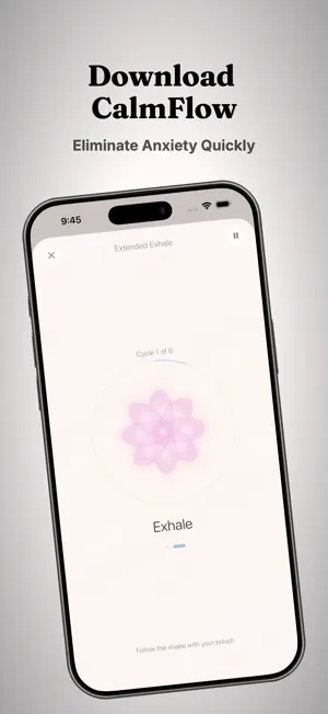 CalmFlowApp screenshot 1