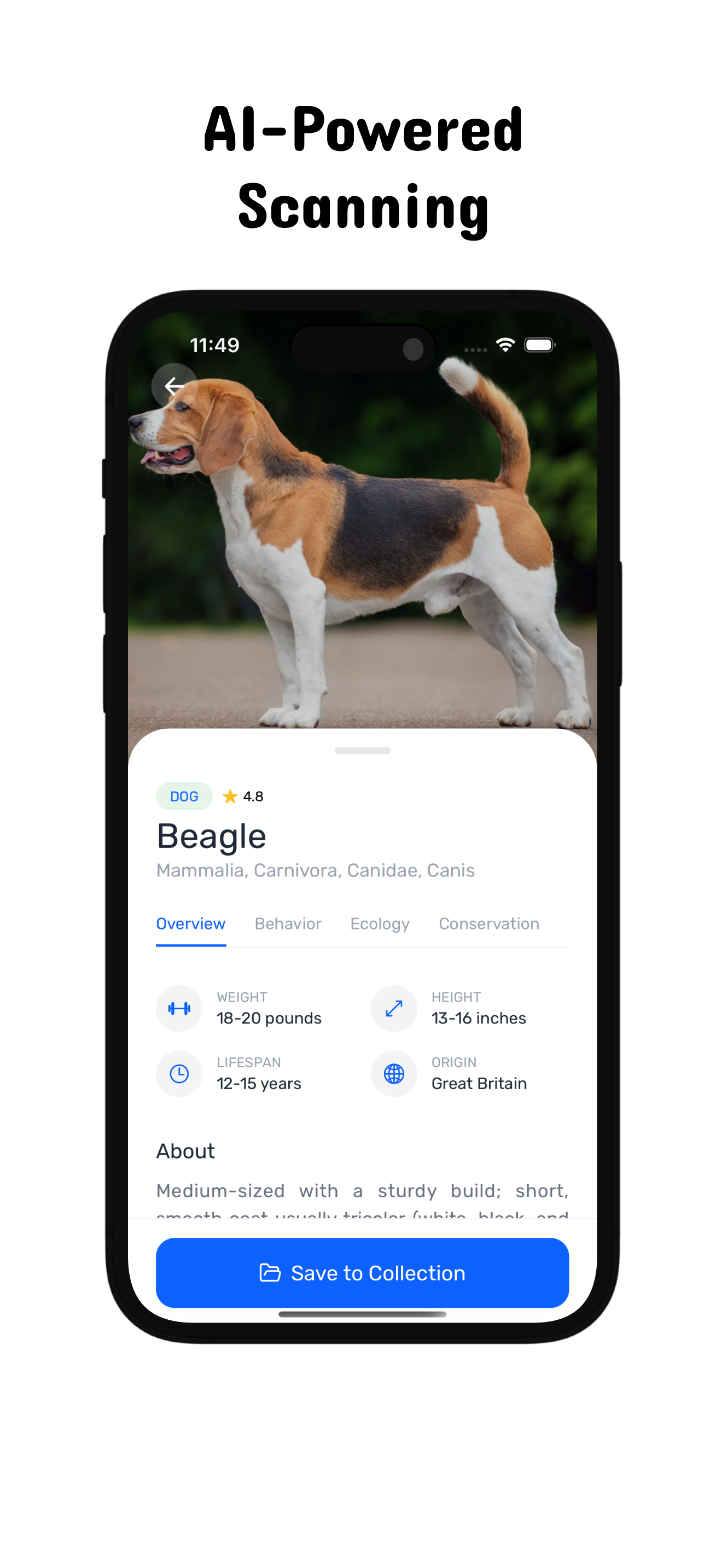 Dog Identifier - breed scanner