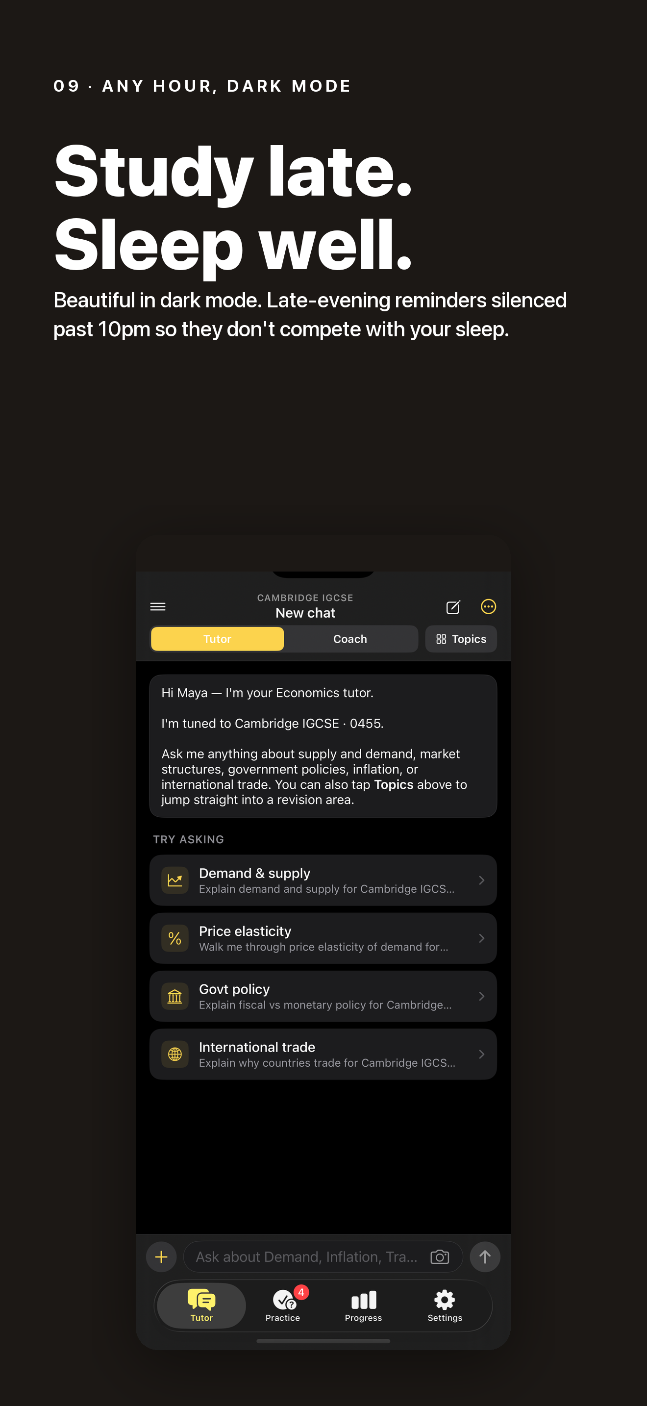 IGCSE Economics 0455: AI Tutor screenshot 9