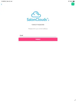 Salon Clouds Intake screenshot 2